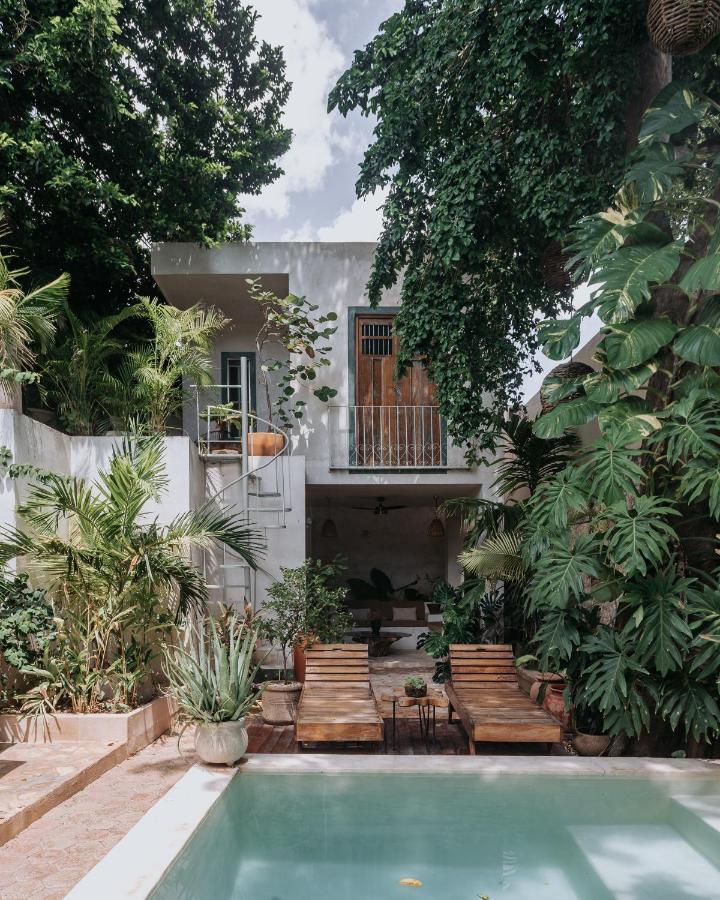 ميريدا Casa Mezcla - Bed & Breakfast المظهر الخارجي الصورة