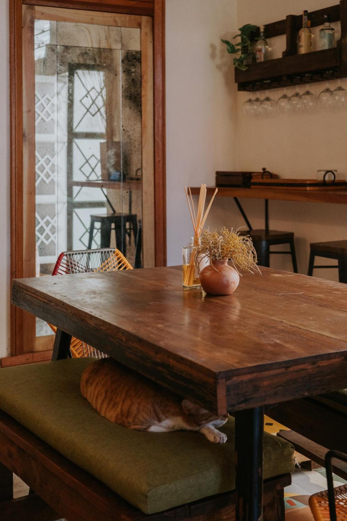 ميريدا Casa Mezcla - Bed & Breakfast المظهر الخارجي الصورة
